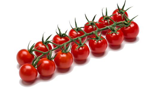 Mini-cherry-vine-tomateos Mini-cherry-vine-tomateos
