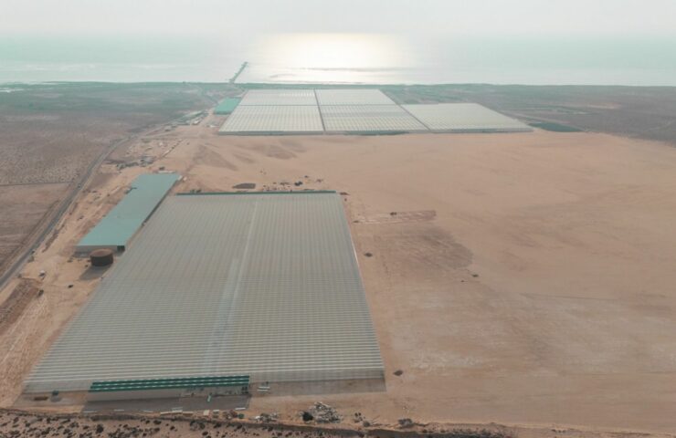 WhatsApp Image 2026-03-06 at 22.21.13