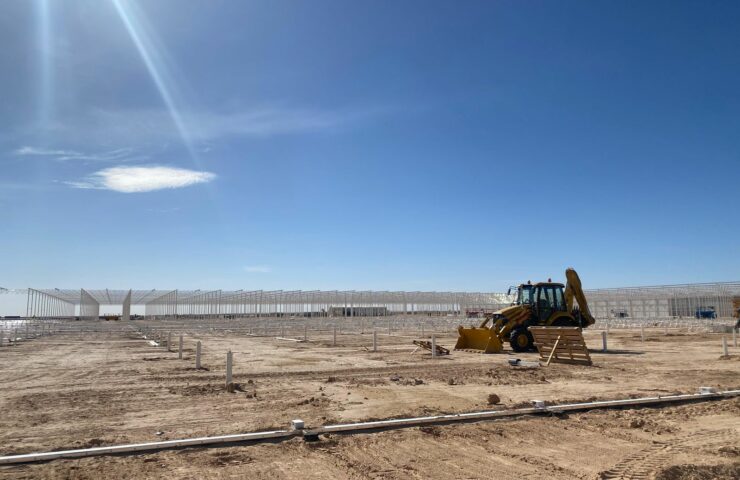 WhatsApp Image 2026-03-06 at 22.28.41