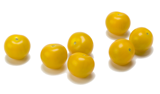 Yellow-cherry-tomatoes Yellow-cherry-tomatoes